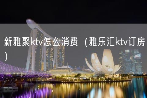 新雅聚ktv怎么消费（雅乐汇ktv订房）(10)