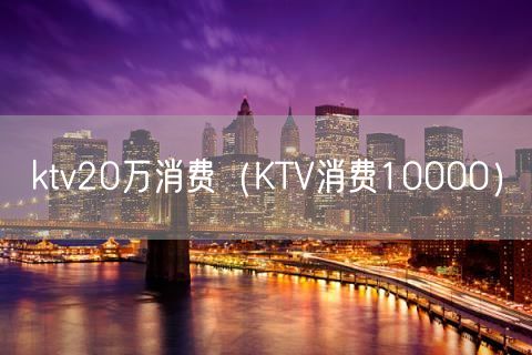 ktv20万消费（KTV消费10000）(10)