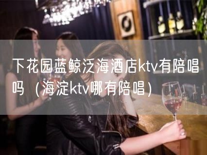 下花园蓝鲸泛海酒店ktv有陪唱吗（海淀ktv哪有陪唱）