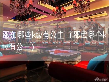邵东哪些ktv有公主（邵武哪个ktv有公主）(10)