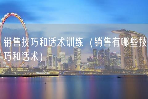 销售技巧和话术训练（销售有哪些技巧和话术）(98)