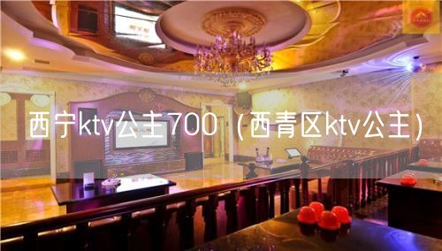 西宁ktv公主700（西青区ktv公主）(25)
