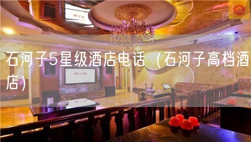 石河子5星级酒店电话（石河子高档酒店）(25)