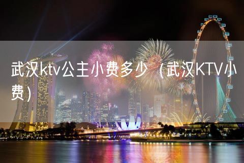 武汉ktv公主小费多少（武汉KTV小费）(42)