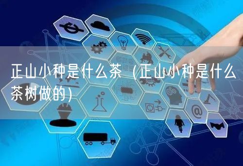 正山小种是什么茶（正山小种是什么茶树做的）