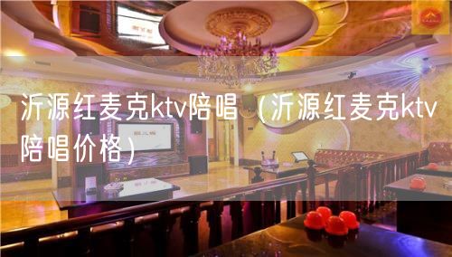 沂源红麦克ktv陪唱（沂源红麦克ktv陪唱价格）(35)