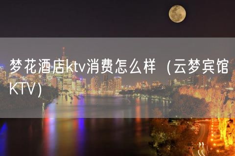 梦花酒店ktv消费怎么样（云梦宾馆KTV）(13)