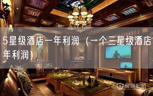 5星级酒店一年利润（一个三星级酒店年利润）(5)