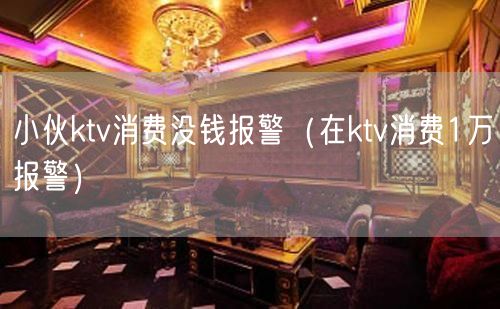 小伙ktv消费没钱报警（在ktv消费1万报警）(6)