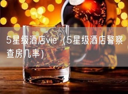 5星级酒店vie（5星级酒店警察查房几率）