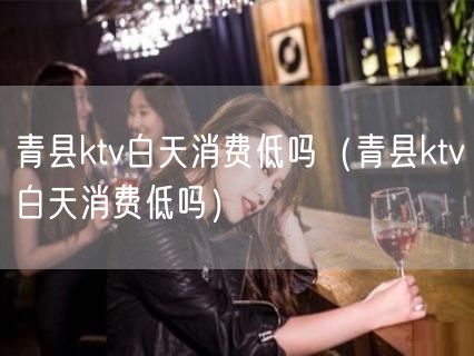 青县ktv白天消费低吗（青县ktv白天消费低吗）(56)
