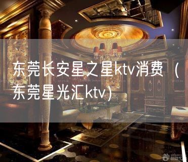 东莞长安星之星ktv消费（东莞星光汇ktv）(15)