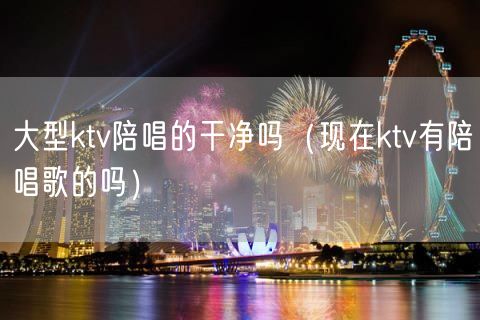 大型ktv陪唱的干净吗（现在ktv有陪唱歌的吗）(10)