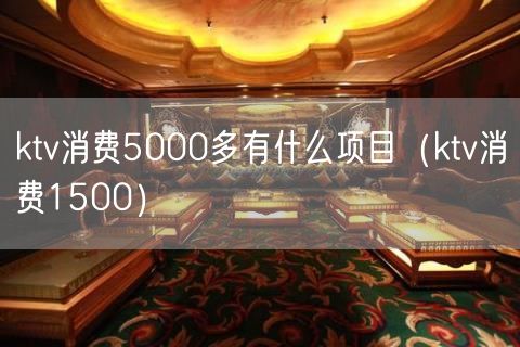 ktv消费5000多有什么项目（ktv消费1500）(4)