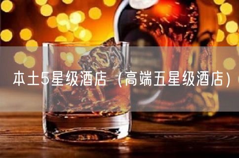 本土5星级酒店（高端五星级酒店）(22)
