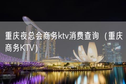 重庆夜总会商务ktv消费查询（重庆商务KTV）(28)