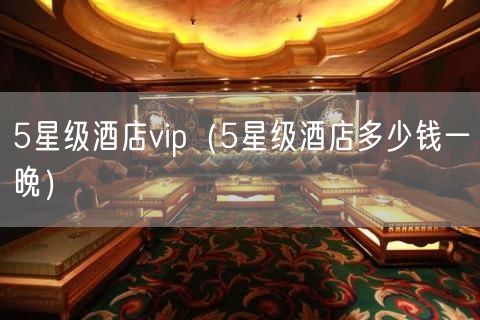 5星级酒店vip（5星级酒店多少钱一晚）