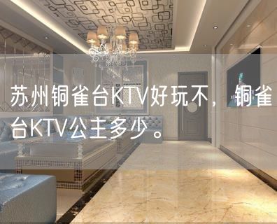 苏州铜雀台KTV好玩不，铜雀台KTV公主多少。