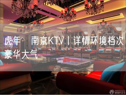虎年﻿南京KTV丨详情环境档次豪华大气