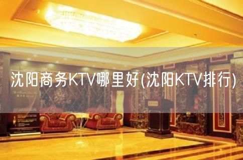沈阳商务KTV哪里好(沈阳KTV排行)