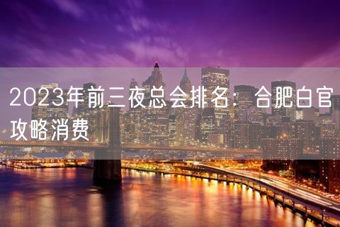 2023年前三夜总会排名：合肥白官攻略消费