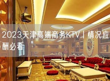 2023天津高端商务KTV丨情况应酬必看