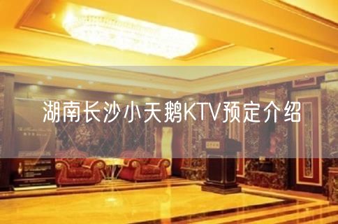 湖南长沙小天鹅KTV预定介绍