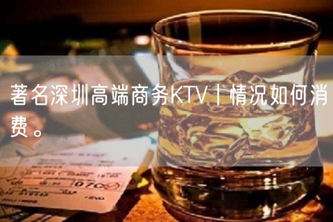 著名深圳高端商务KTV丨情况如何消费。