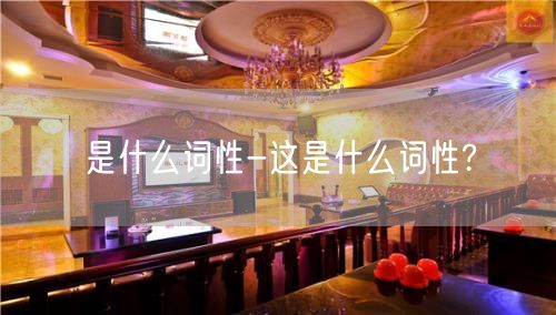 是什么词性-这是什么词性?